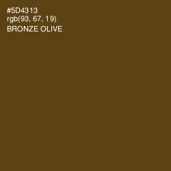 #5D4313 - Bronze Olive Color Image